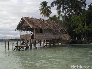 Pembangunan Pariwisata di Raja Ampat Harus Step by Step