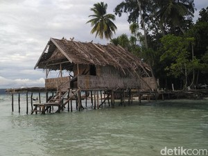 Ini Bedanya Menginap di Resort, Liveaboard, dan Homestay Raja Ampat