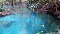 Kalibiru adalah destinasi baru di Raja Ampat. Sungai ini punya air yang berwarna biru jernih bak kristal. Selain itu, suhunya sangat dingin bak air es (Wahyu/detikTravel)