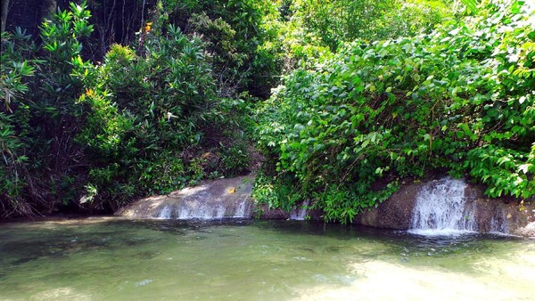 Air Terjun Arawai adalah destinasi baru untuk dikunjungi di Raja Ampat. Air terjun ini letaknya cukup tersembunyi di balik rimbunnya semak-semak (Wahyu/detikTravel)