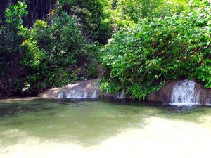 Air Terjun Perawan yang Langsung ke Laut di Raja Ampat