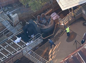 2 Anak Selamat dalam Insiden di Dreamworld Australia yang Tewaskan 4 Orang