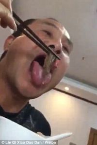 Hii...! Pria Asal Canton Ini Menyantap Lintah Hidup-hidup