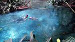 Foto: Sungai Berwarna Biru di Raja Ampat
