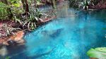 Foto: Sungai Berwarna Biru di Raja Ampat