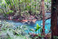Kali Biru yang menawan (Wahyu/detikTravel)