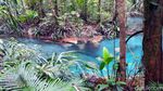 Foto: Sungai Berwarna Biru di Raja Ampat