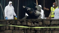 Tim investigasi menyelidiki penyebab jatuhnya pesawat.. Darrin Zammit Lupi/Reuters TV/detikFoto.