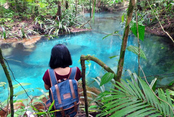 Kalibiru ini letaknya berada di dalam kawasan Teluk Mayalibit. Lihatlah airnya yang berwarna biru, sungguh indah bukan? (Wahyu Setyo Widodo/detikcom) Kalibiru ini letaknya berada di dalam kawasan Teluk Mayalibit. Lihatlah airnya yang berwarna biru, sungguh indah bukan? (Wahyu Setyo Widodo/detikcom)