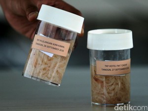 Polisi Gagalkan Penyelundupan Benih Lobster di LP Pemuda Tangerang