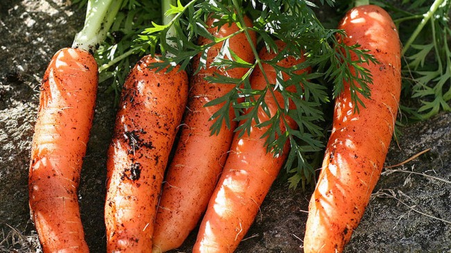Jangan Langsung Dibuang, Makanan Berjamur Ini Masih Bisa Dikonsumsi