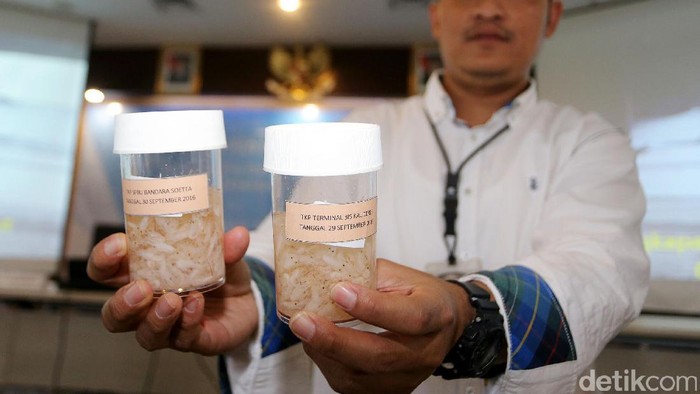 Polda Metro Tangkap Pengekspor Ilegal 30 Ribu Benih Lobster