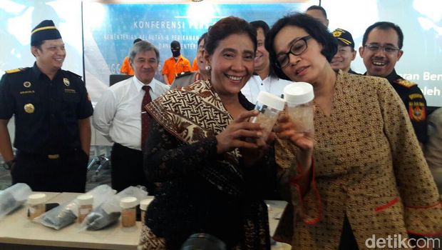 Ini Modus Penyelundupan Benih Lobster yang Digagalkan Duet Maut Susi-Sri
