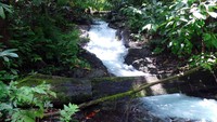 Aliran air terjun ini sangat deras, debit airnya juga melimpah. Kata pemandu kami, air ini bersumber dari Gunung Noch, gunung tertinggi di Raja Ampat (Wahyu/detikTravel)
