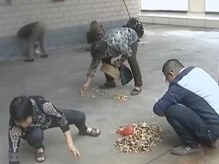 Di Kota Ini, 50 Puntung Rokok Bisa Ditukar Sebungkus Tisu