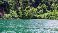 Perairan sebiru ini yang bisa traveler saksikan sebelum tiba di Air Terjun Arawai. Raja Ampat memang terkenal akan perairannya yang berwarna gradasi biru, hijau hingga biru muda yang indah (Wahyu/detikTravel)