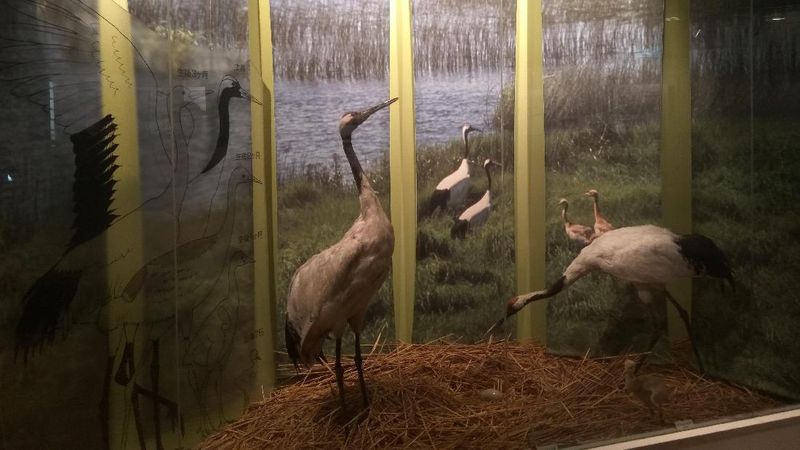 Bosan Dengan Tokyo Hokkaido Punya Jawabannya