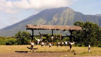 Taman Nasional Baluran mendapatkan julukan Afrika van Java. (Sri Subaktiyani/dTraveler)