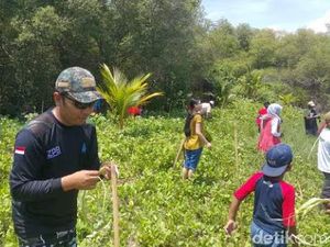 Kaum Muda di Banyuwangi Tanam Cemara Udang Peringati Sumpah Pemuda