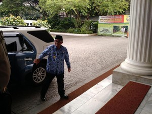 Plt Gubernur DKI: Duit untuk Berburu Tikus Akan Masuk APBD DKI 2017