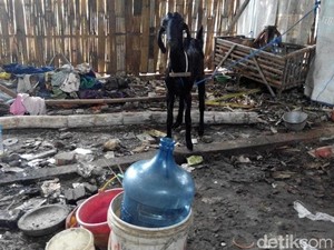 Kondisi Rumah Pelajar Tewas Korban Kecelakaan di Ponorogo Memprihatinkan
