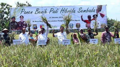 Panen Raya Padi Hibrida Sembada di Ngawi
