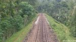 Kereta Uap Kuno di Ambarawa yang Kembali Hidup