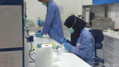 Menengok Isi Laboratorium Riset Obat Herba