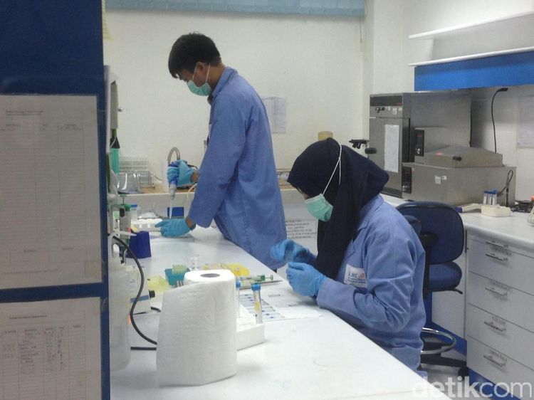 Menengok Isi Laboratorium Riset Obat Herba