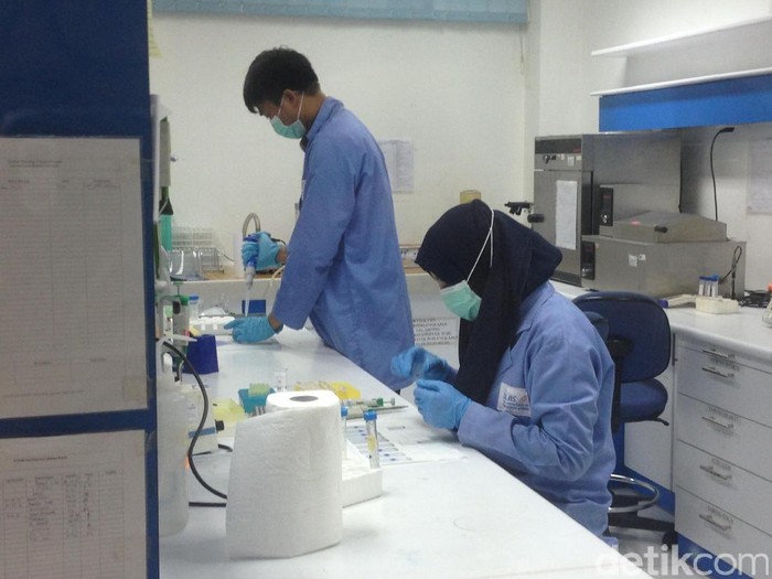 Isi laboratorium Dexa Medica