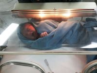  Awas Gemes! Rafathar Sampai Gempita di 10 Anak Seleb Terhot