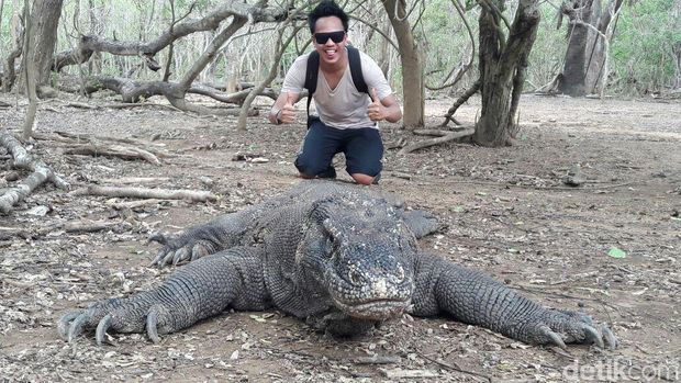 Bergaya bareng komodo (Afif/detikTravel)