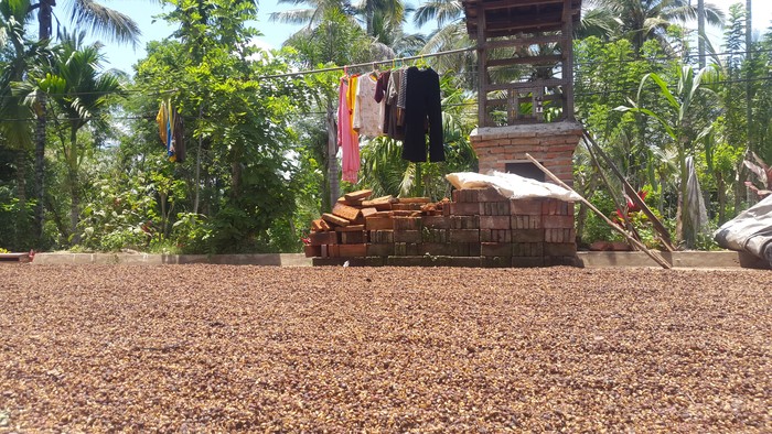 Pencurian Celana Dalam Wanita di Banyuwangi Meluas, Kini Ada di 2 Kecamatan