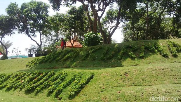 Kebun kurma yang rimbun (Muhajir/detikTravel)