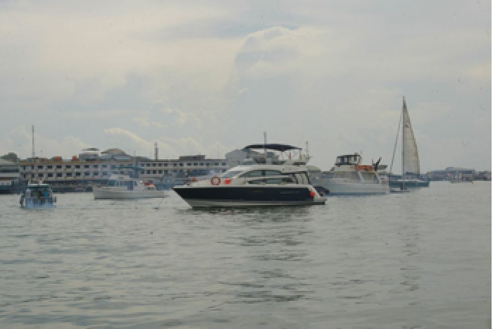 Kepri Carnival Berhasil Buat Kagum Wisman dan Yachters