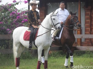 Charta Politika: Belum Ada Cawapres yang Mampu Dongkrak Jokowi