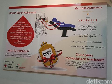 Pamflet Donor Darah Bahasa Inggris : Contoh Pamflet Donor Darah