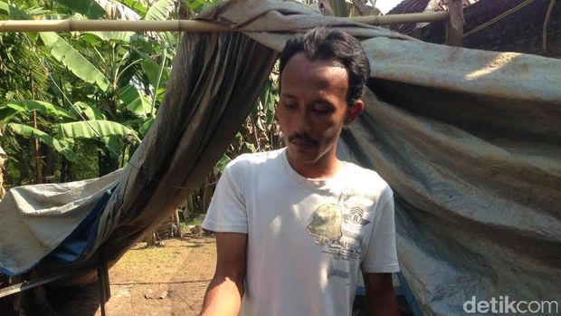 Ratusan bebek mati mendadak