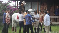 Usai berkeliling, Jokowi turun dari punggung Salero.
