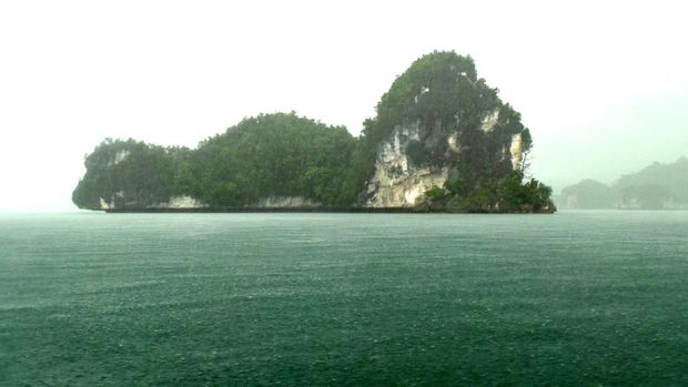 Menjelajahi kawasan Teluk Kabui saat hujan (Wahyu/detikTravel)
