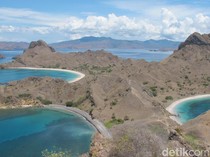 TN Komodo Batasi 1.000 Turis: Pelaku Wisata Dukung tapi Minta Hapus Mafia Tiket