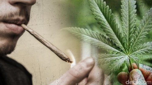 Ilustrasi narkoba, sabu putau ganja