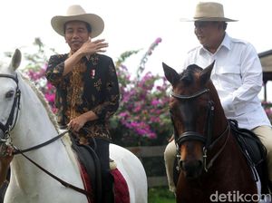 Peta Kekuatan Duet Jokowi-Prabowo