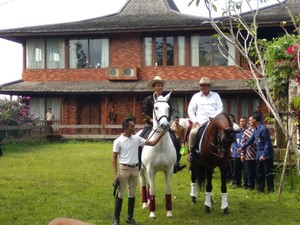 Kubu Jokowi Soroti Kuda Impor Prabowo, Timses: Jaka Sembung Bawa Golok