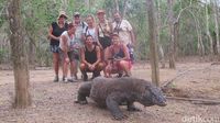 Pengumuman! Pulau Komodo Tidak Jadi Ditutup