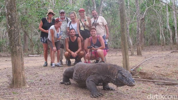 Turis mancanegara yang kunjungannya terus meningkat di Taman Nasional Komodo