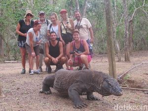 Pelaku Wisata: Kami Tak Pernah Ganggu Habitat Komodo