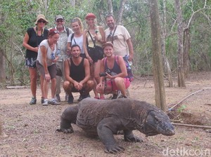 Taman Nasional Komodo Masih Aman Dikunjungi