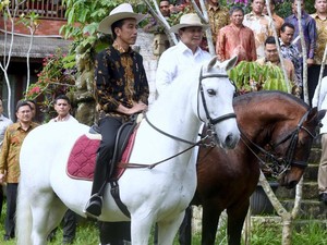 Pontang-panting Jokowi Dinginkan Suasana Politik: Berkuda hingga Bertemu Tokoh