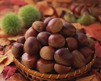 Kuri-gohan, Salah Satu Olahan <i>Chestnut</i> Khas Jepang yang Legit Pulen